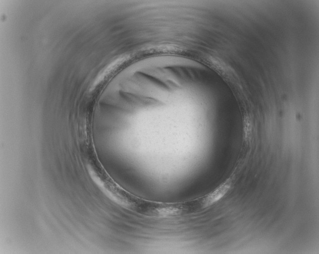X0000052630158200507292249