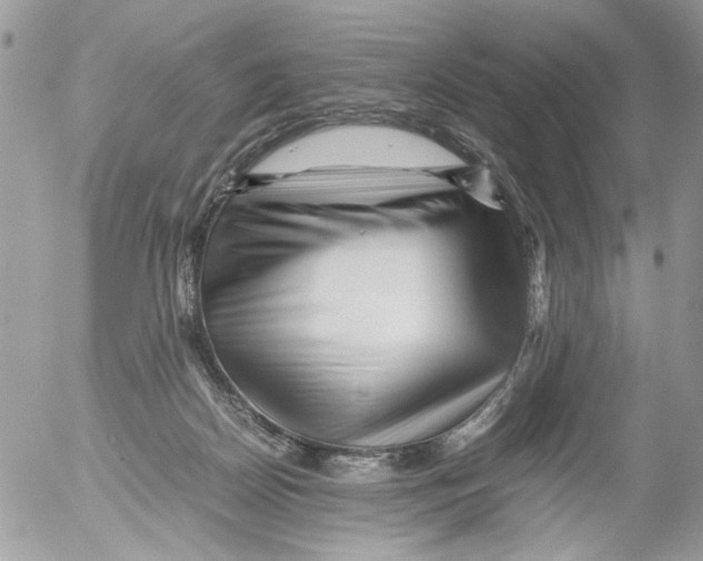 X0000052630170200507292249