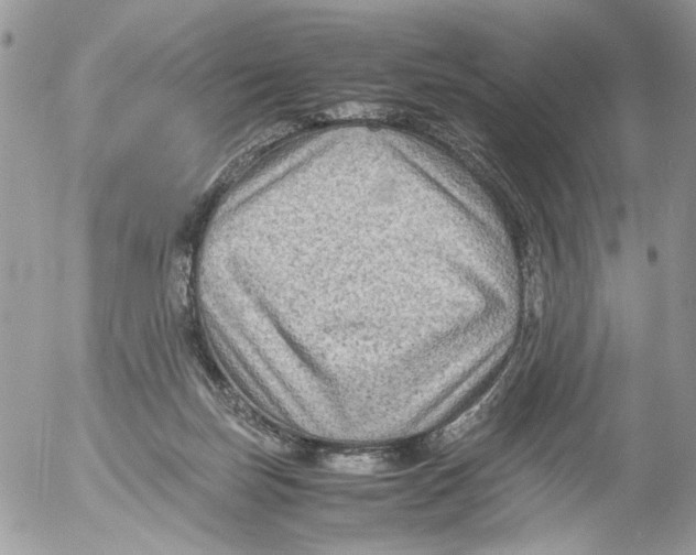 X0000052630171200507292249