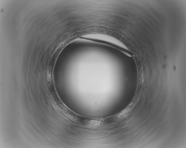 X0000052630176200507292249