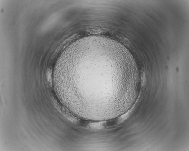 X0000052630178200507292249