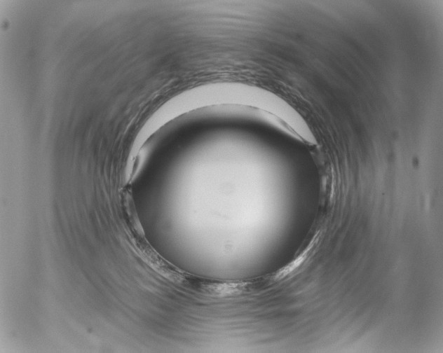 X0000052630184200507292249