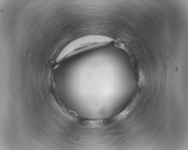 X0000052630188200507292249