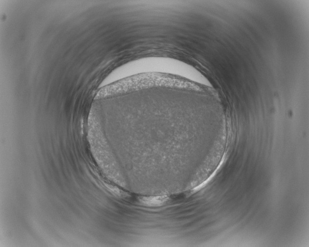 X0000052630191200507292249