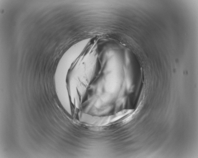 X0000052630192200507292249