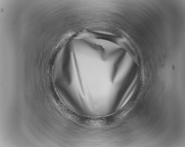 X0000052630209200507292248
