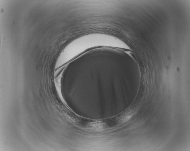X0000052630219200507292248