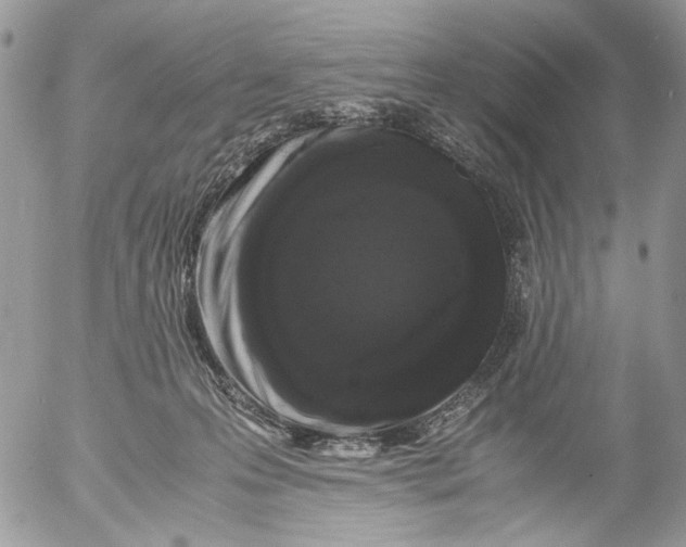 X0000052630223200507292248
