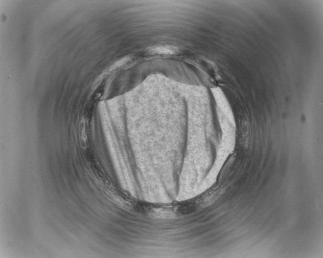 X0000052630232200507292248