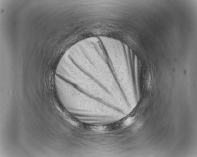 X0000052630233200507292248