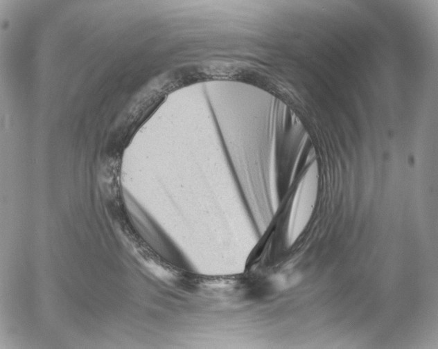 X0000052630237200507292248