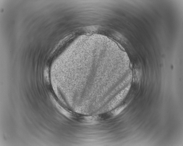 X0000052630238200507292248
