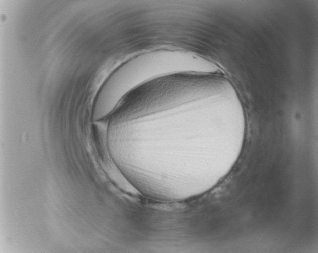 X0000052630241200507292247
