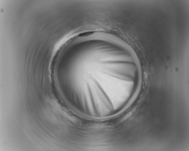 X0000052630246200507292247