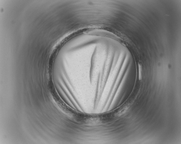 X0000052630252200507292247