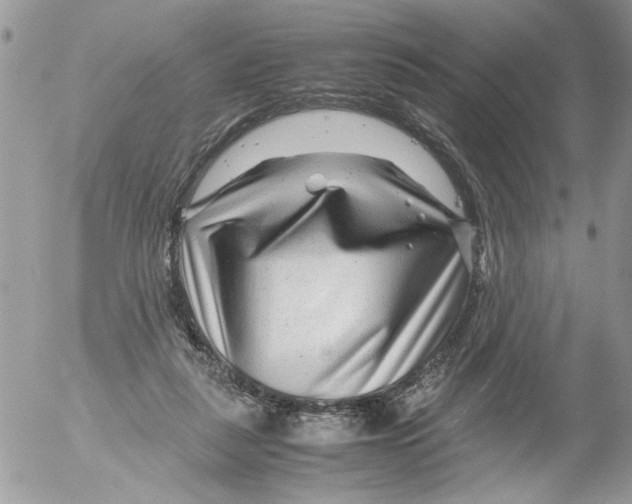 X0000052630259200507292247