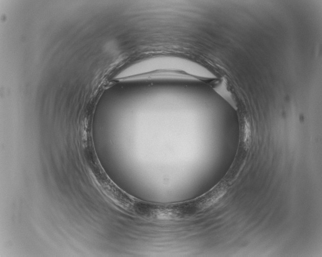 X0000052630264200507292247