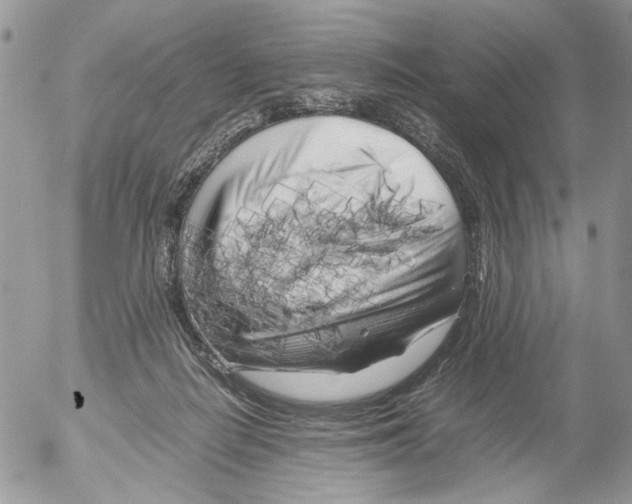 X0000052630266200507292247