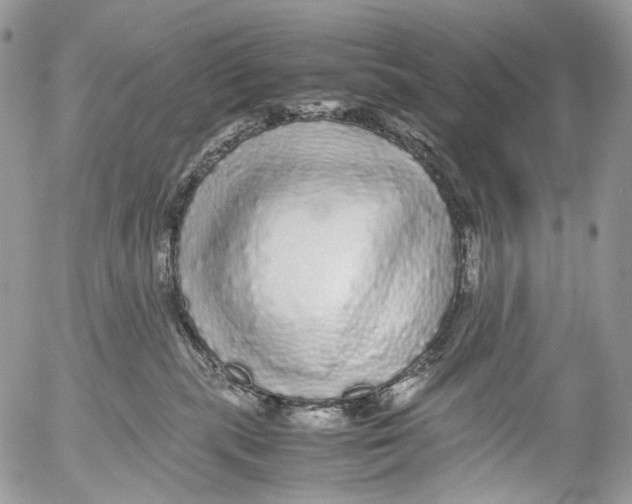 X0000052630283200507292248