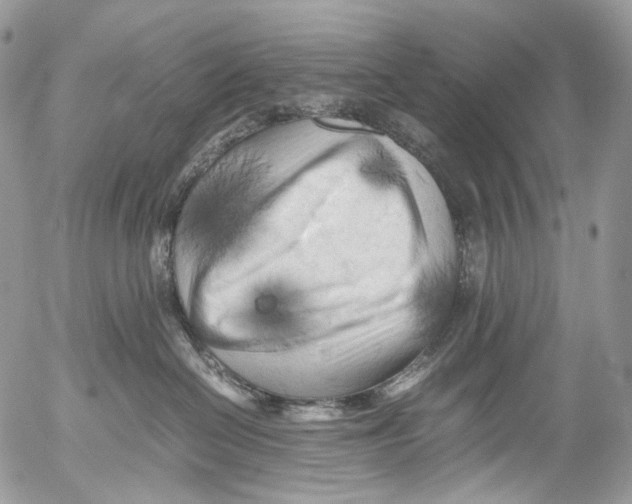 X0000052630286200507292248