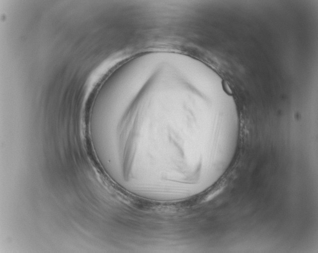 X0000052630294200507292247