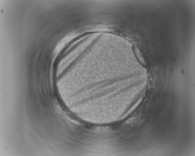 X0000052630296200507292247