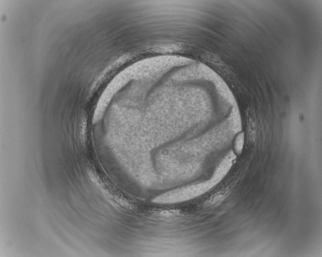 X0000052630304200507292247
