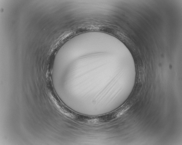 X0000052630309200507292247