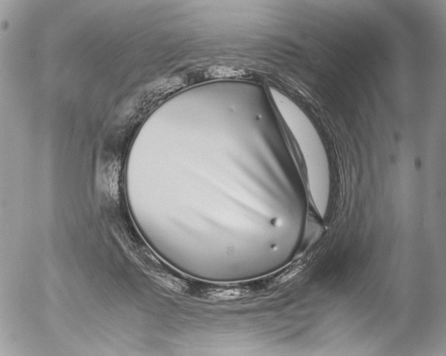 X0000052630315200507292246