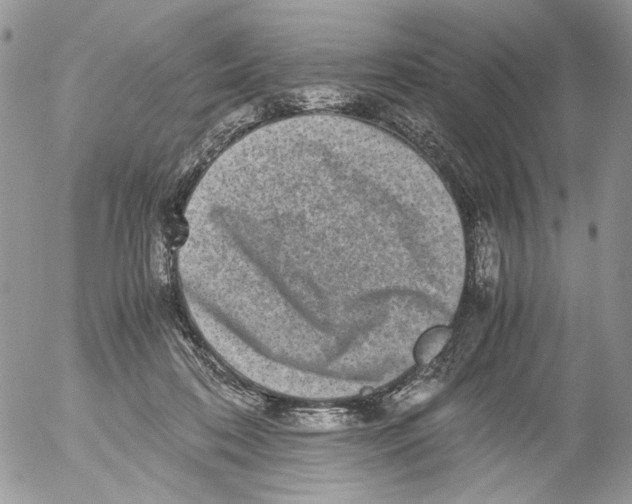 X0000052630316200507292246