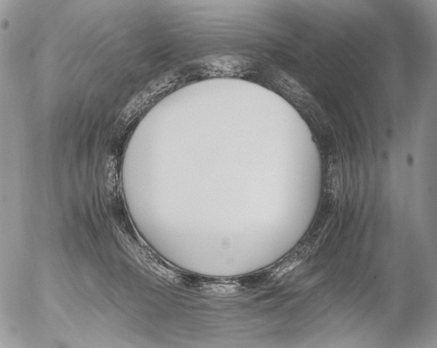 X0000052630318200507292246