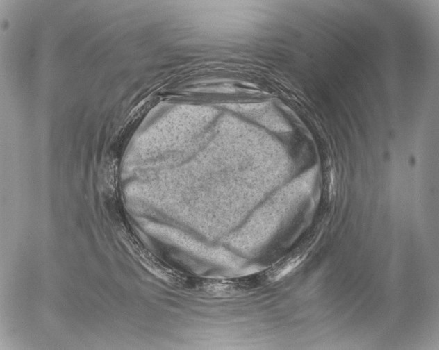 X0000052630325200507292246