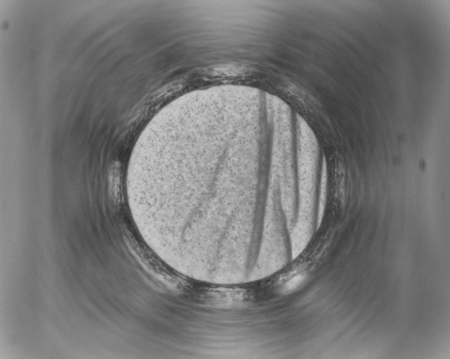 X0000052630328200507292246