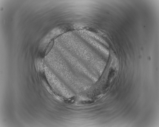 X0000052630335200507292246