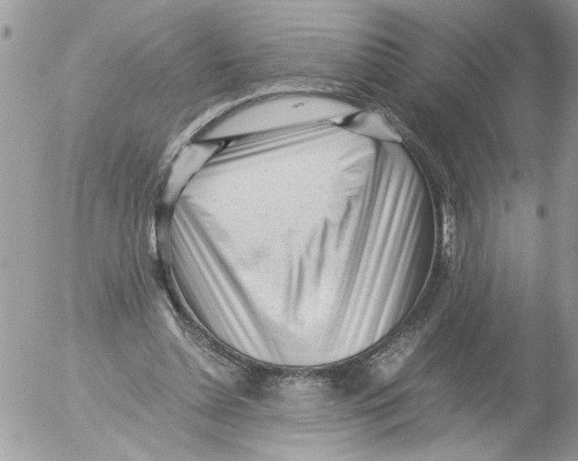 X0000052630348200507292245