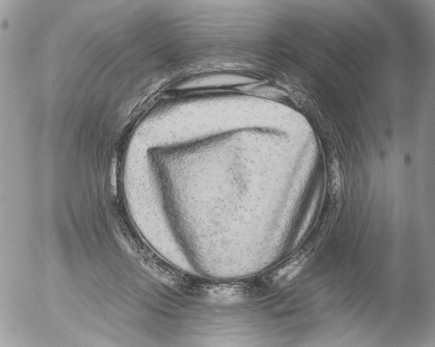 X0000052630358200507292246