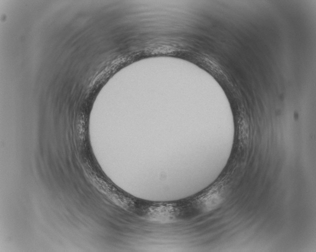 X0000052630362200507292246