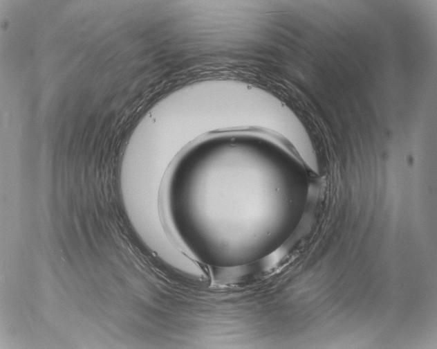 X0000052630372200507292246