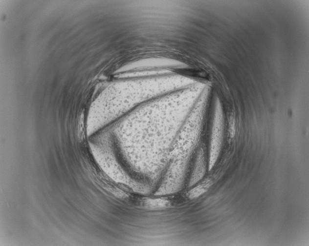 X0000052630376200507292246