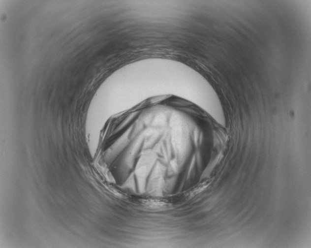 X0000052630380200507292246