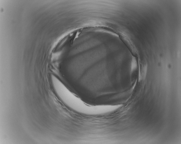X0000052630387200507292245