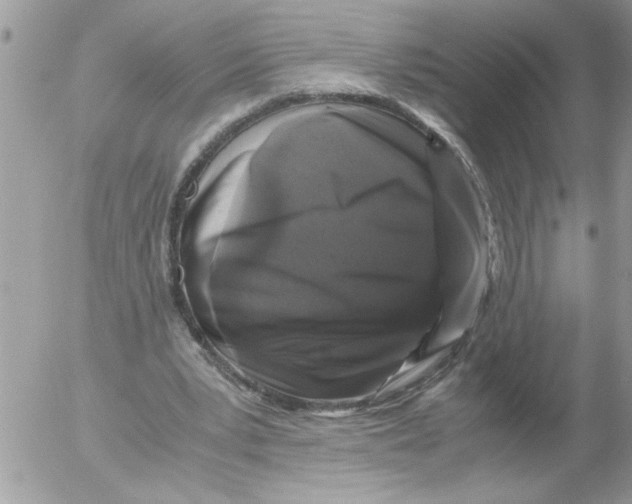 X0000052630391200507292245