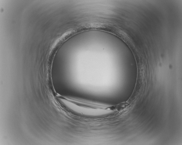 X0000052630395200507292245