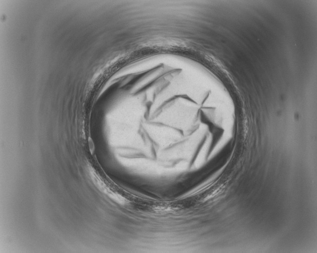 X0000052630399200507292245