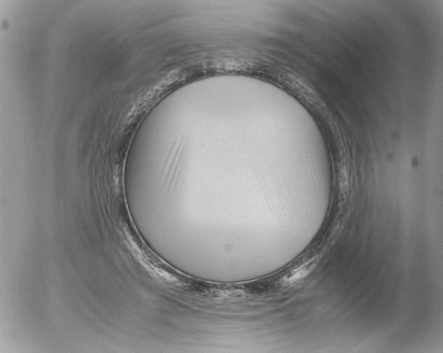 X0000052630401200507292245