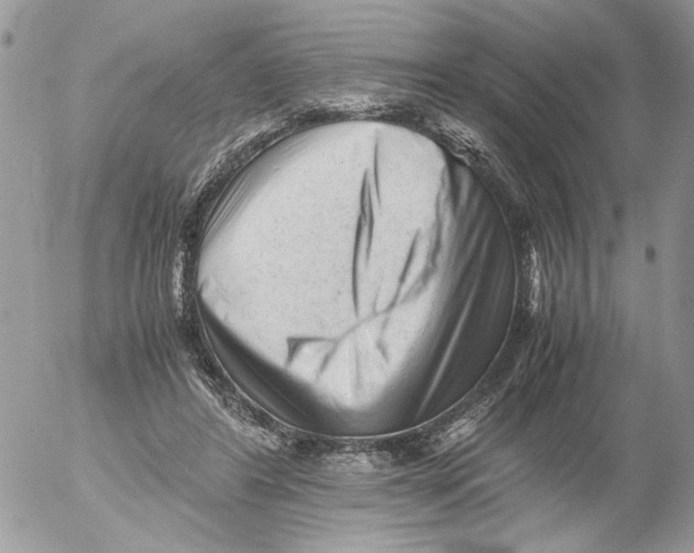 X0000052630404200507292245