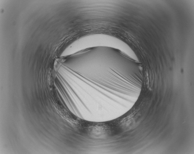 X0000052630412200507292245