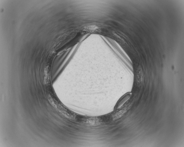 X0000052630420200507292245