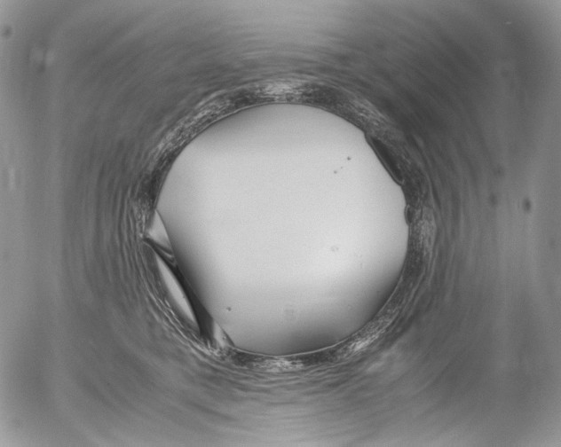 X0000052630421200507292245