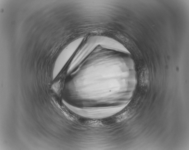 X0000052630424200507292245